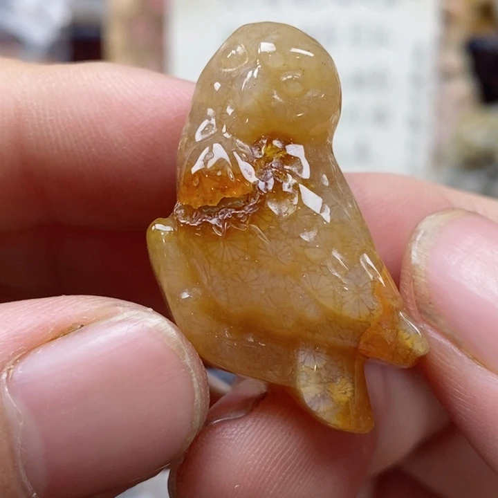 颈饰未镶嵌硅化珊瑚（珊瑚玉）有瑕 小
