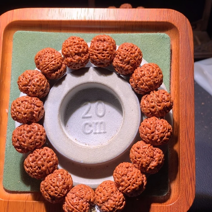 手串金刚菩提22+五星双龙