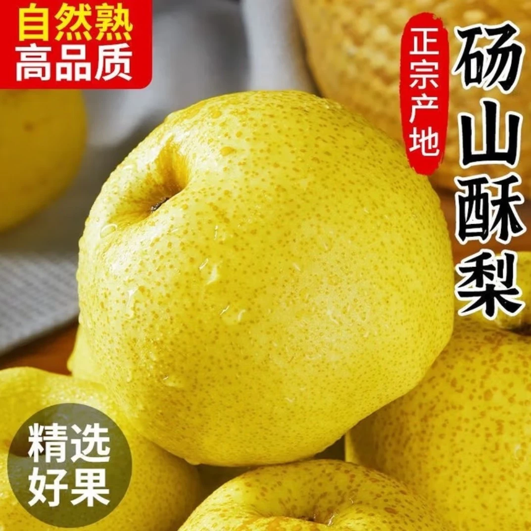 9斤装正宗砀山酥梨当季新鲜水果现摘现发薄皮脆甜多汁砀山溏心蛋