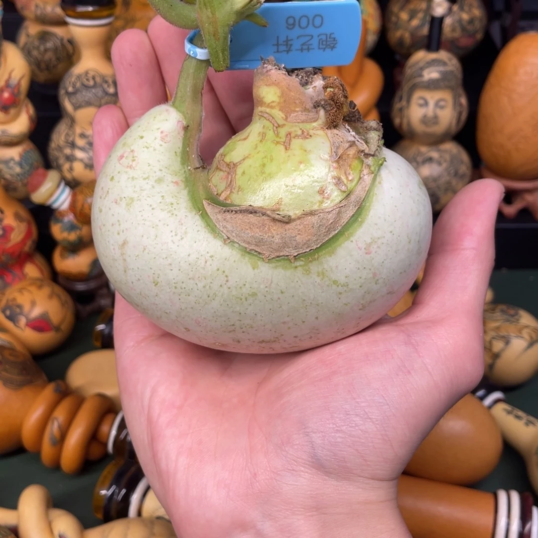 咕***噗葫芦————————————————