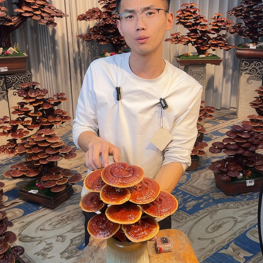 无花朵58888888888