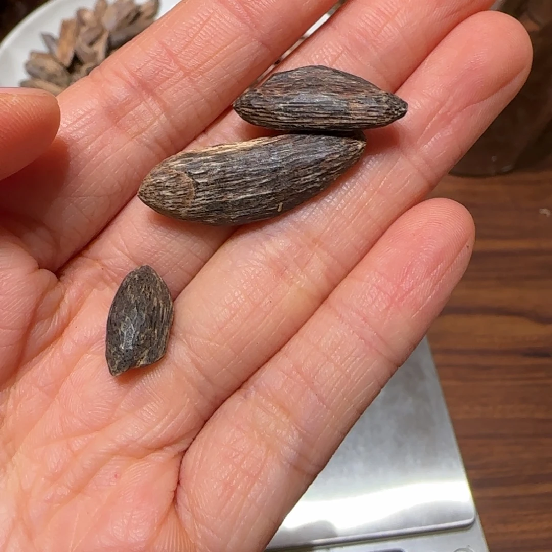 沉香沉香碎屑沉香虫漏瓜子1克