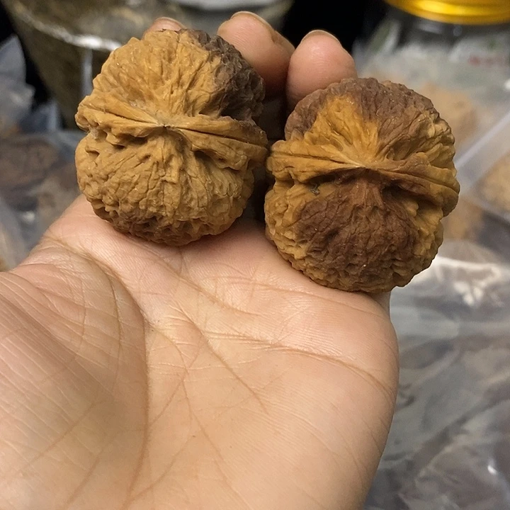 核桃云南铁核桃基地31