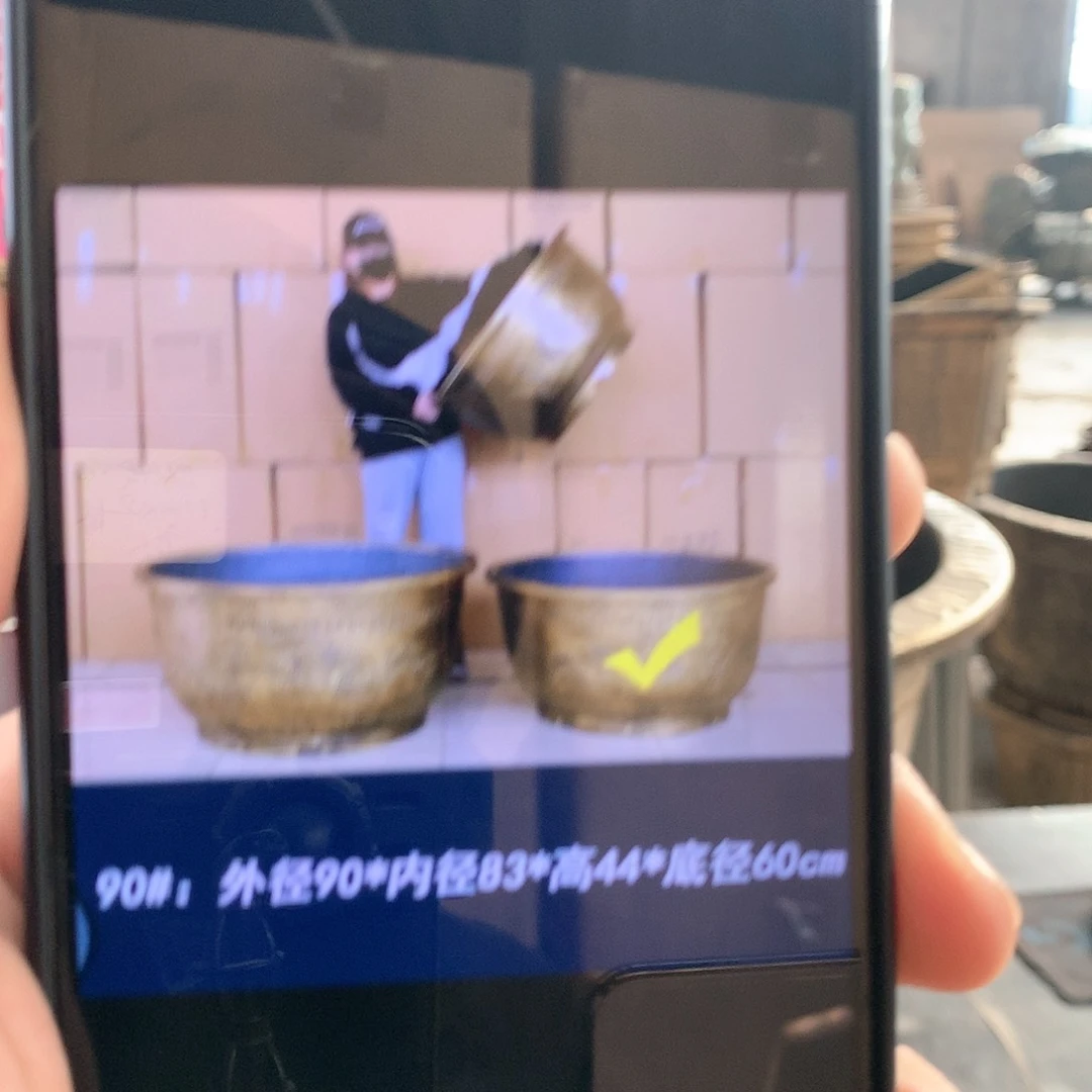 复合钓*岛花盆花开了一个人的房间观看