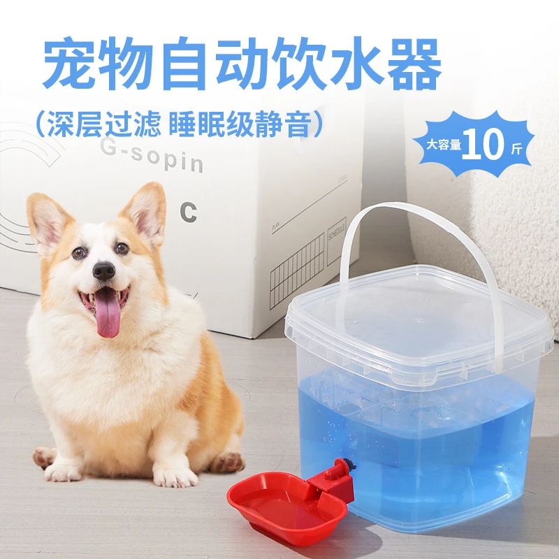 爆火新品猫咪狗狗饮水机宠物自动喂水器大容量水桶饮水器小狗智能