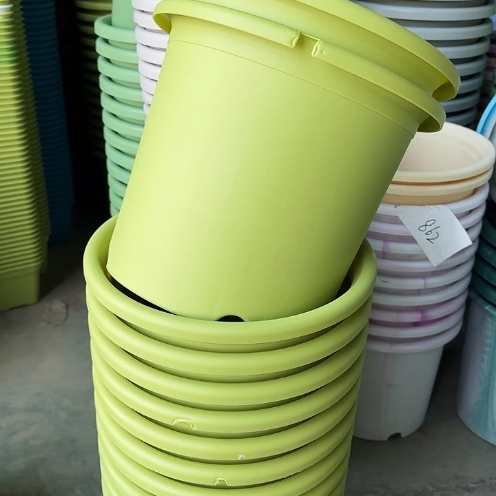 缺口6#口径32果绿10个无托