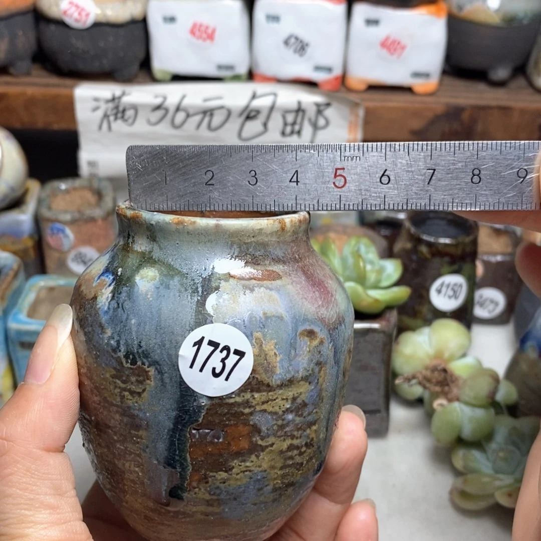 拍5送一个小礼物
