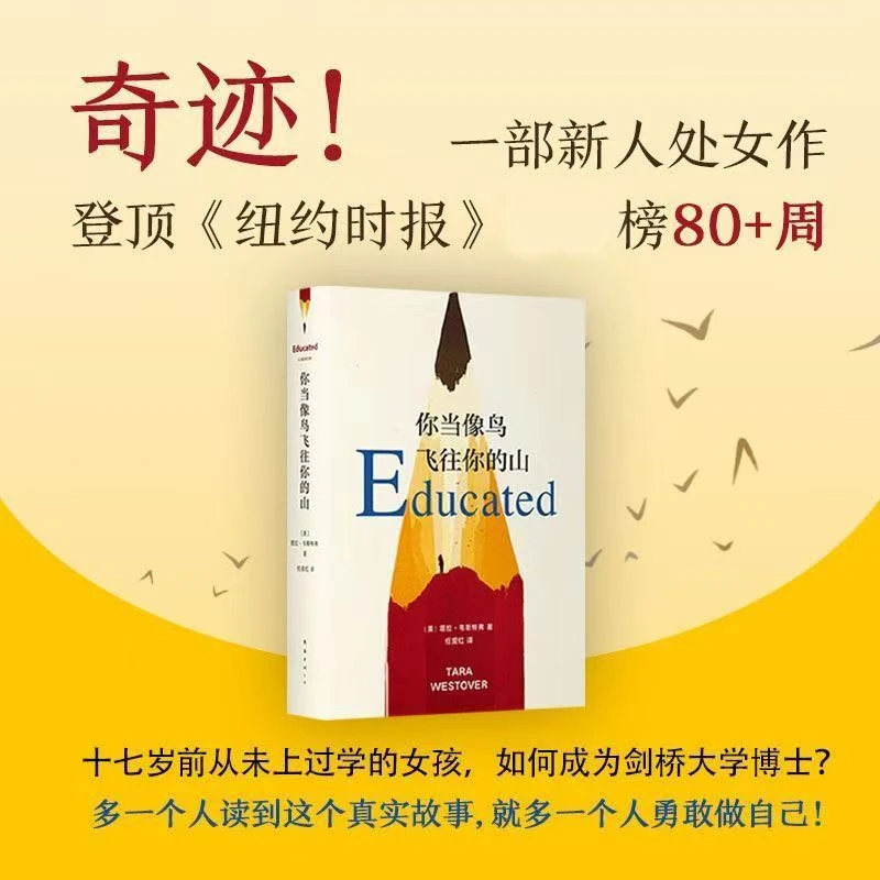 你当像鸟飞往你的山 现当代文学女性暖心成长疗愈励志长篇小说