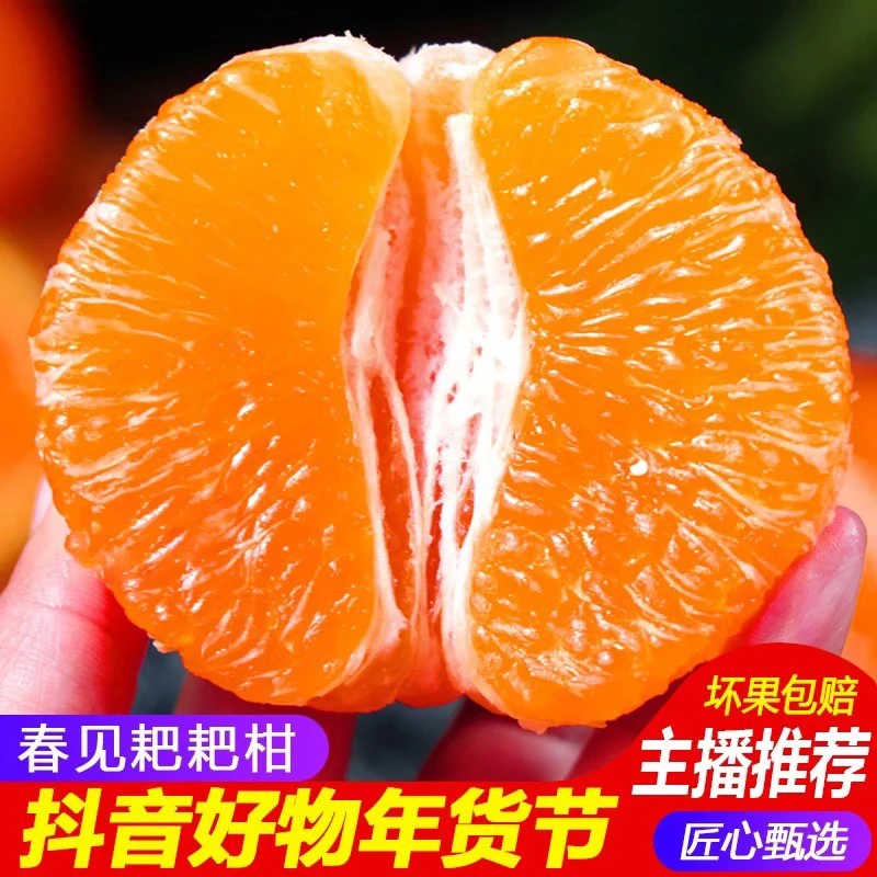 （顺丰快递川专属）四川蒲江耙耙柑新鲜水果现摘现发5斤8斤包邮