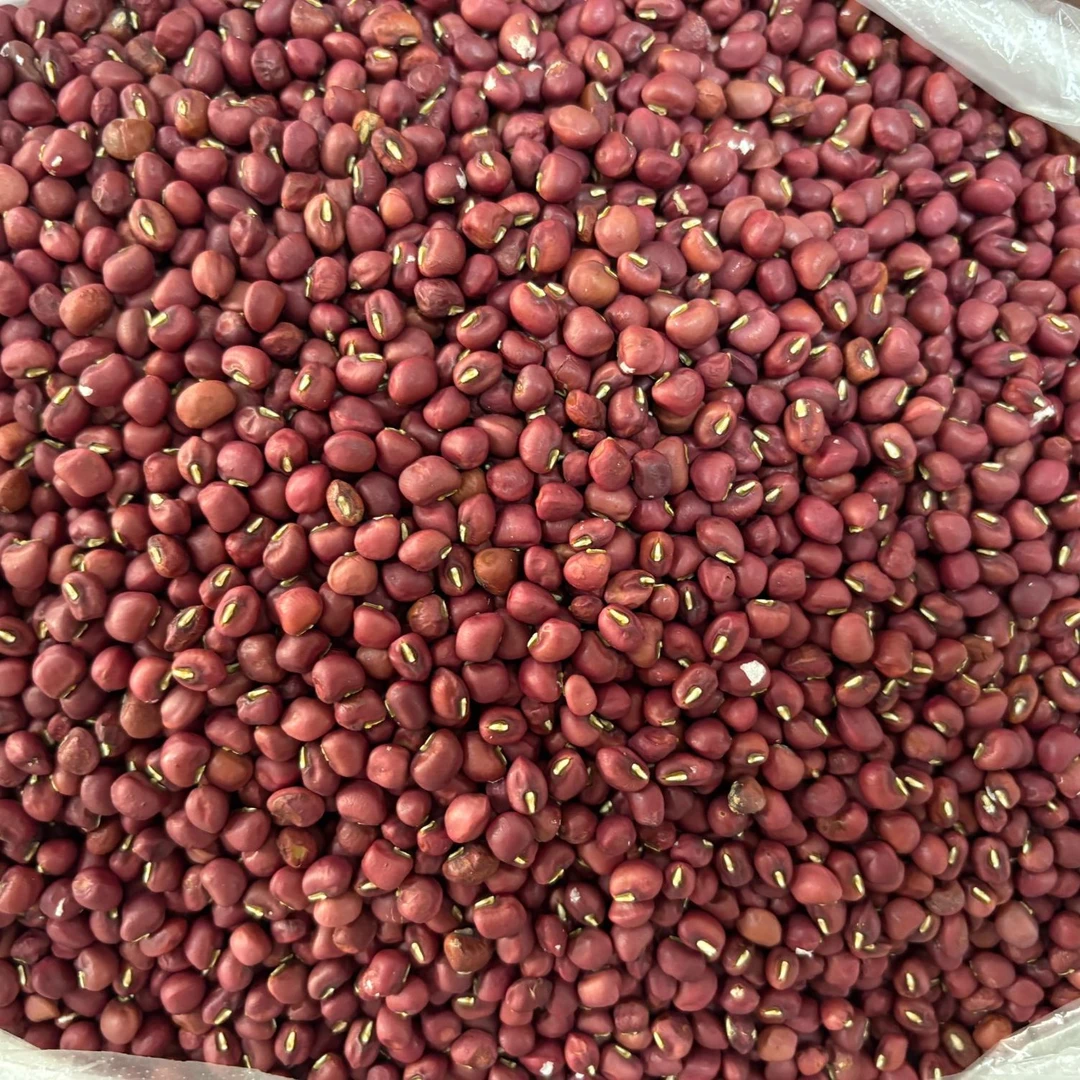 【乡村振兴】重庆垫江曹回农家自种红豆   打米豆