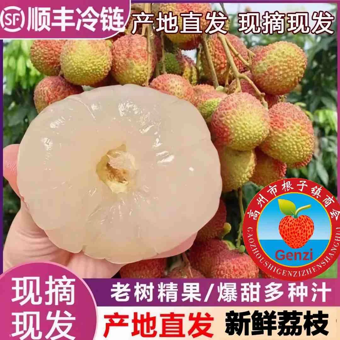 【顺丰/京东冷链】高州妃子笑荔枝新鲜采摘应季水果肉厚核小汁水多