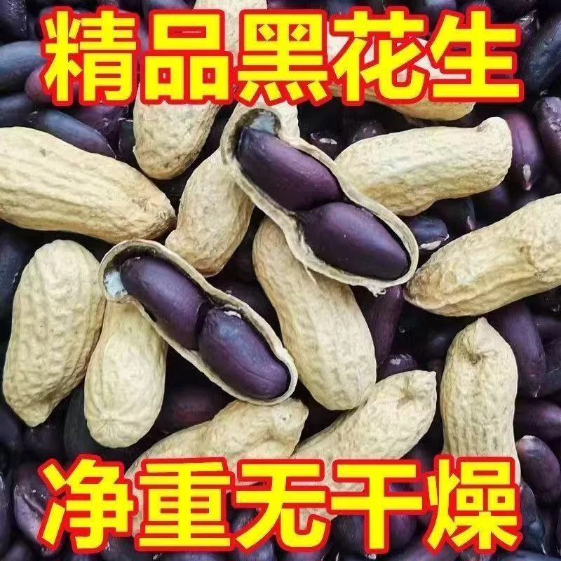 阜平手工精选带壳自然晾干墨美人富硒黑花生505克+25克*2