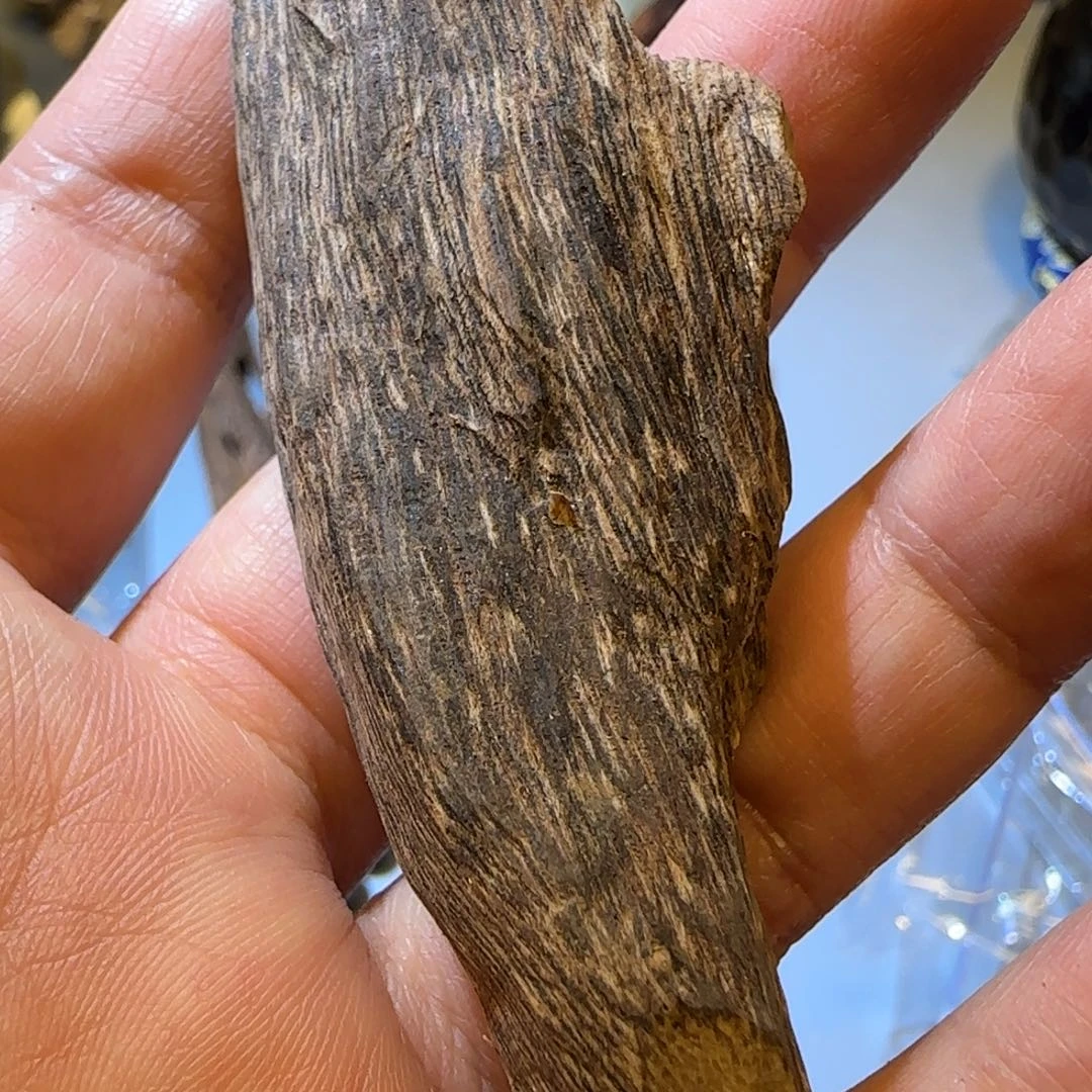 沉香沉香碎屑老惠安虫漏6.93克