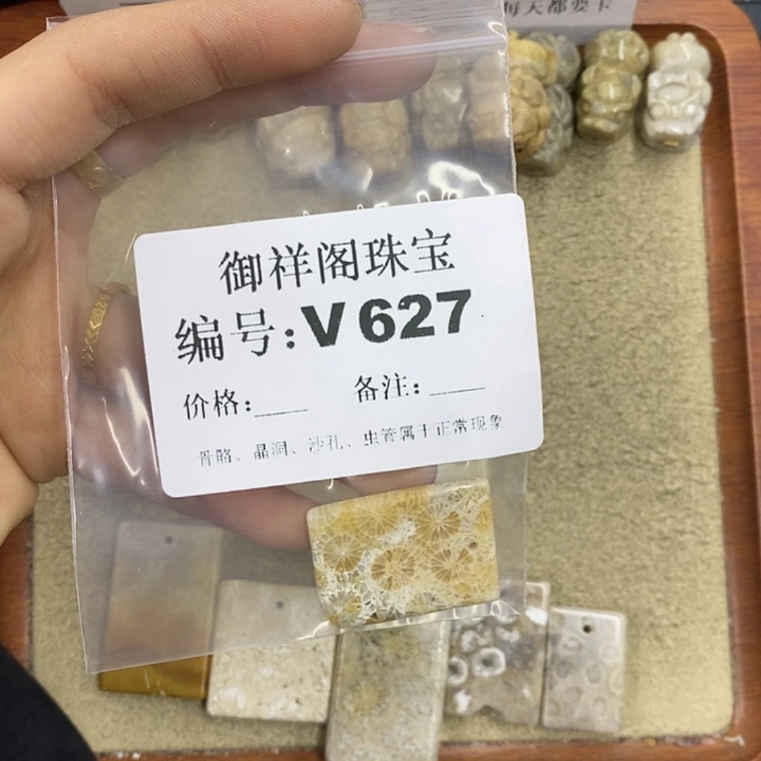 硅化珊瑚（珊瑚玉）颈饰未镶嵌O****g