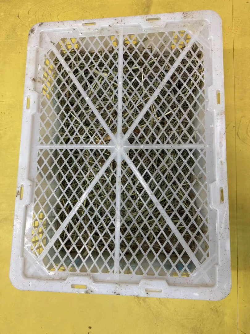 鸽子小宠专用运输筐适合小体观赏鸡等禽类运输