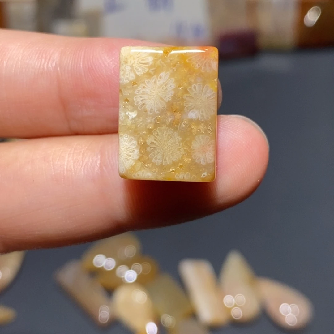 【闪购商品】未镶嵌珊瑚玉硅化玉