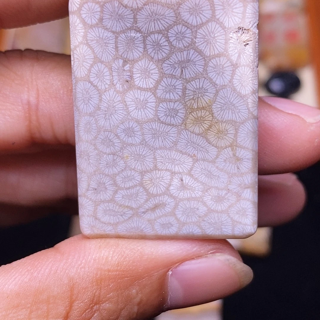 爱****硅化玉合金珊瑚玉