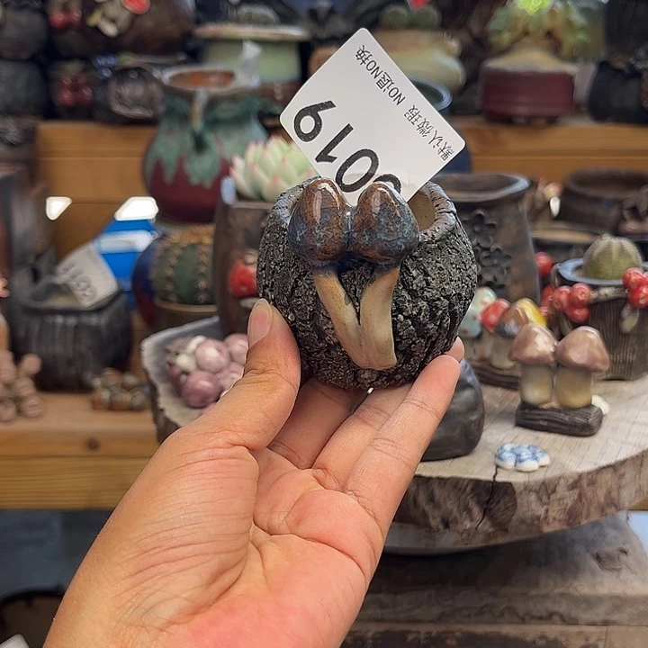 好的时候我们在看019