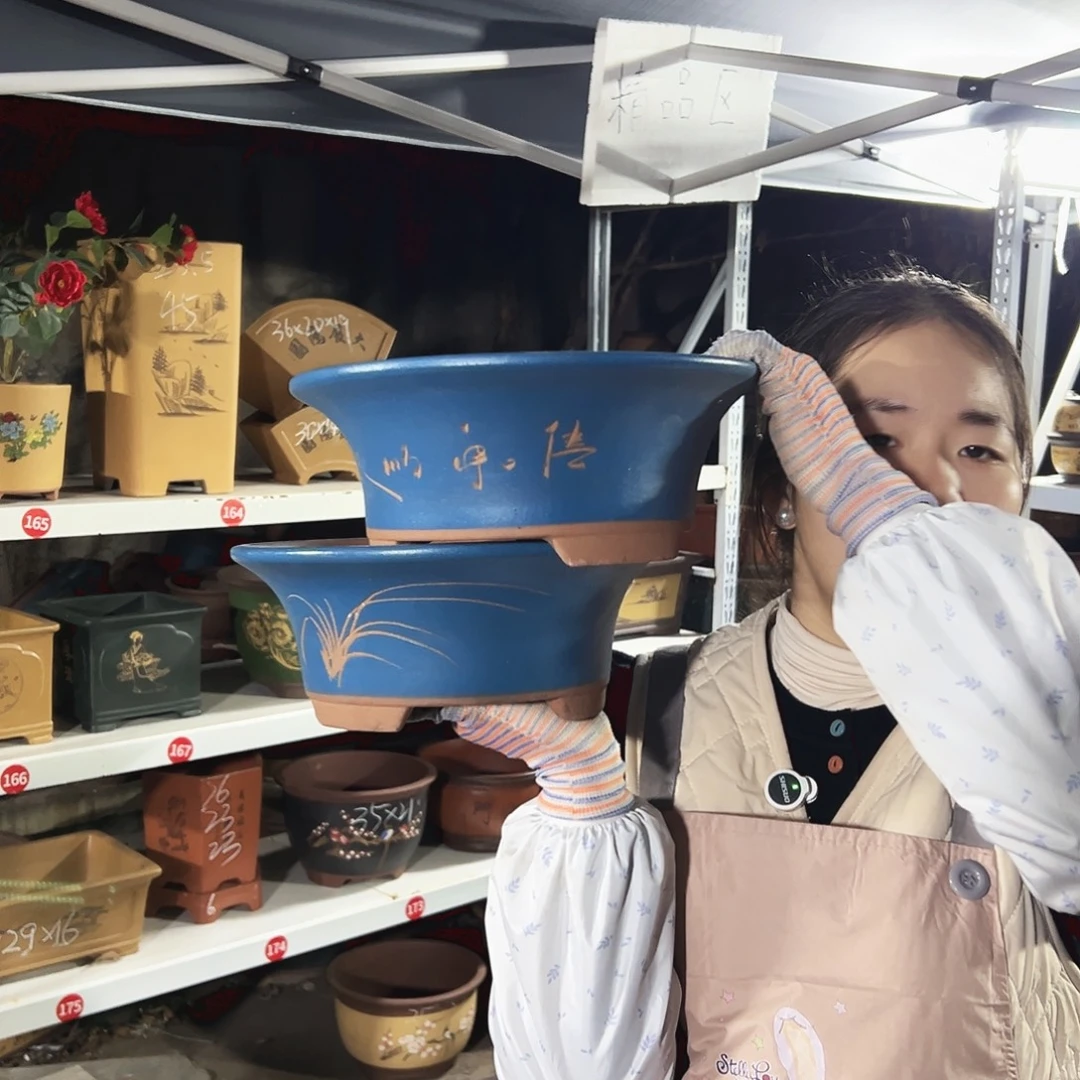 27+27蓝票口花盆花盆花盆