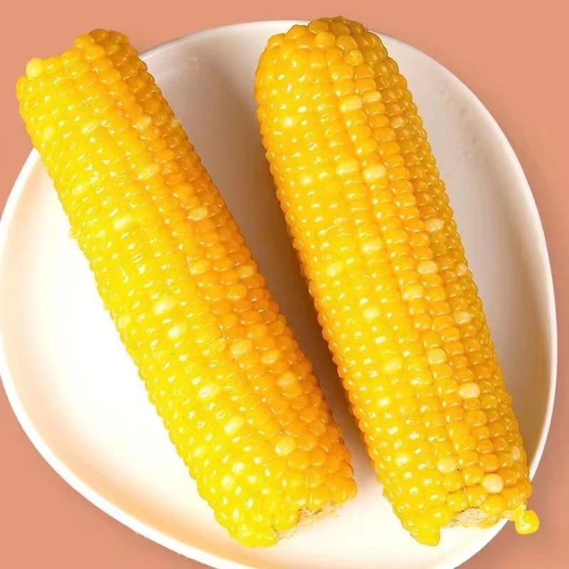 【试吃2根】东北香甜黄糯玉米独立真空透明袋包装10根整箱5斤左右