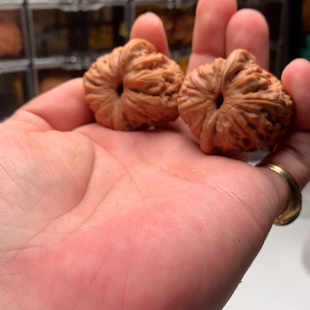 予***乐吊坠桃核平谷元宝666888