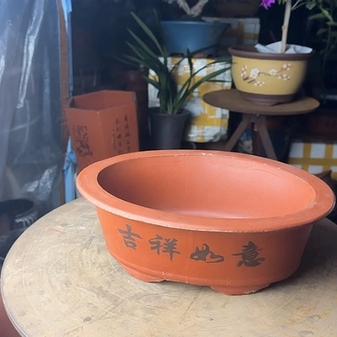 紫砂红色椭圆30花盆花盆