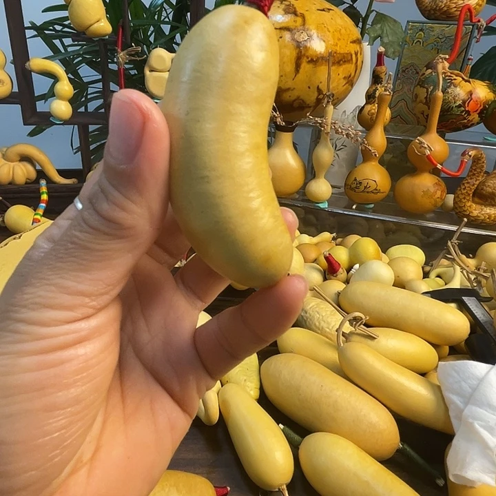 守****藤手把葫芦精品系列17