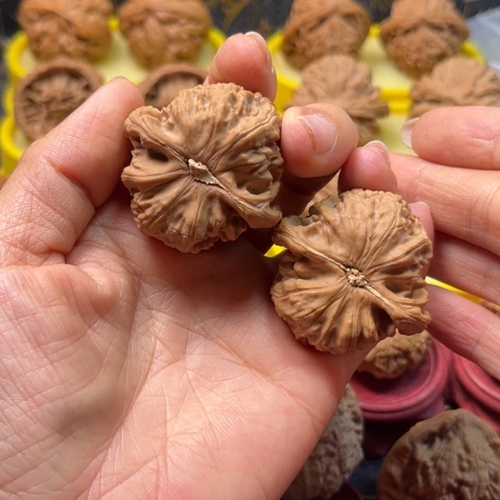 用***荣大叶紫檀（黑酸枝木类）38全品白狮子