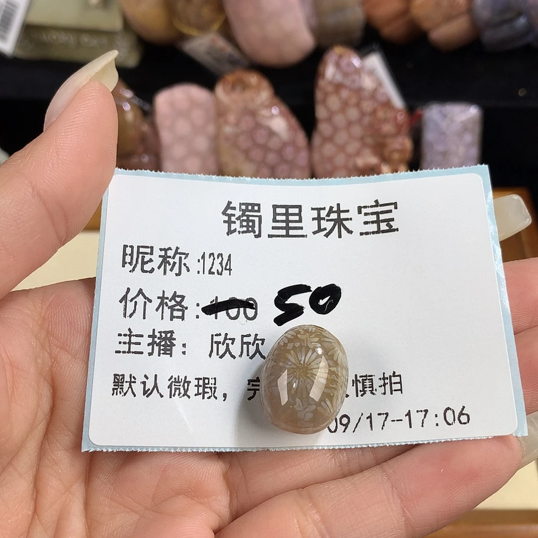 1***4吊坠(赠链)未镶嵌硅化珊瑚（珊瑚玉）
