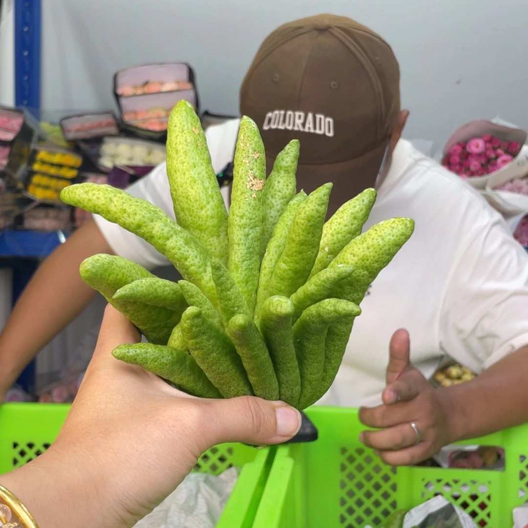 41号佛手1个两单包邮