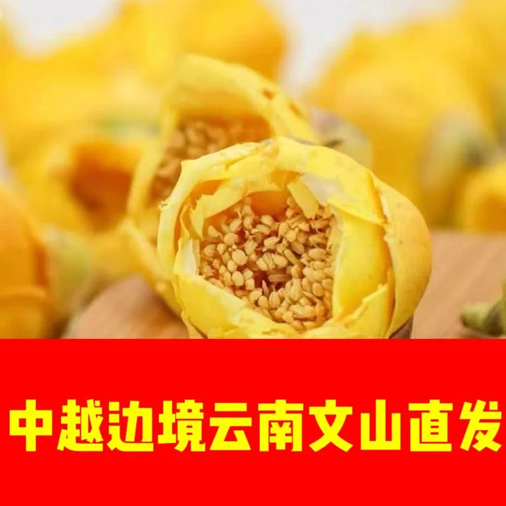 中越边境一寨一品云南文山一寨一品金花茶