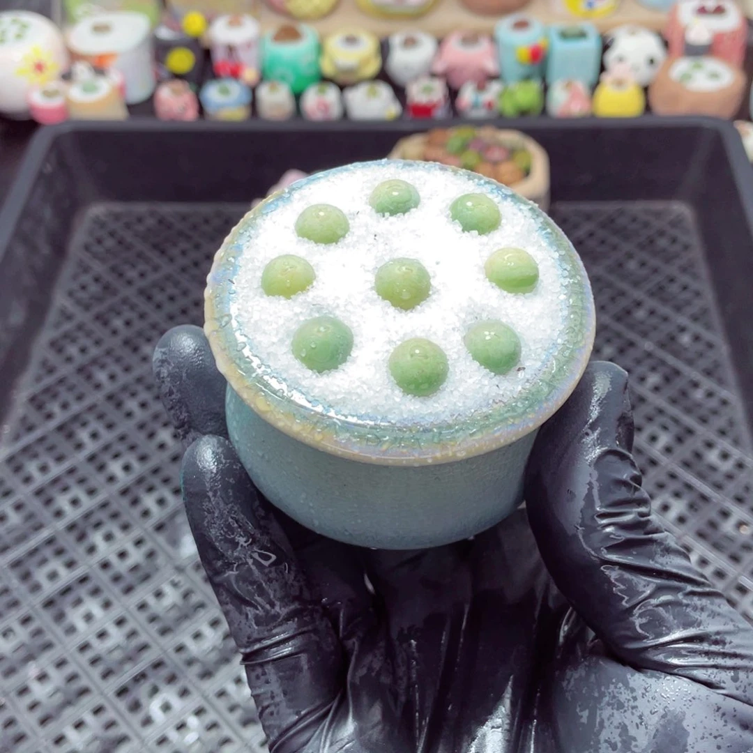 w5779--带盆土发货，零下地区拍保温箱