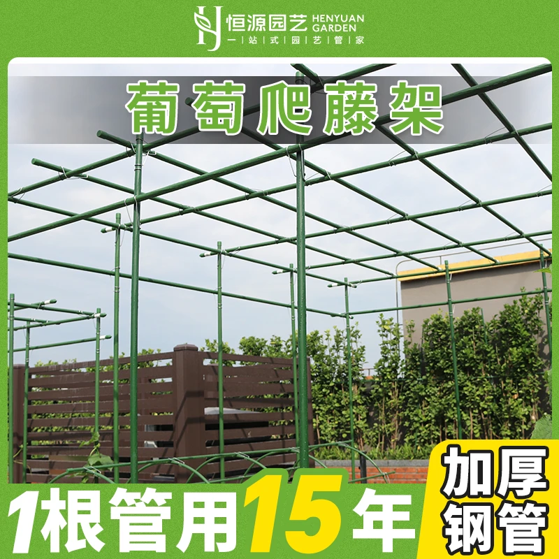 葡萄架子庭院户外花架爬藤支架丝瓜百香果花卉包塑钢管支撑架家庭