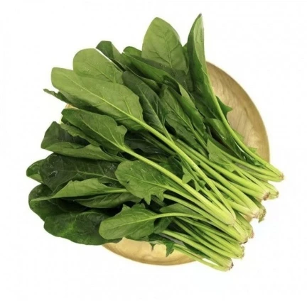 湖北农家菜菠菜茼蒿菜