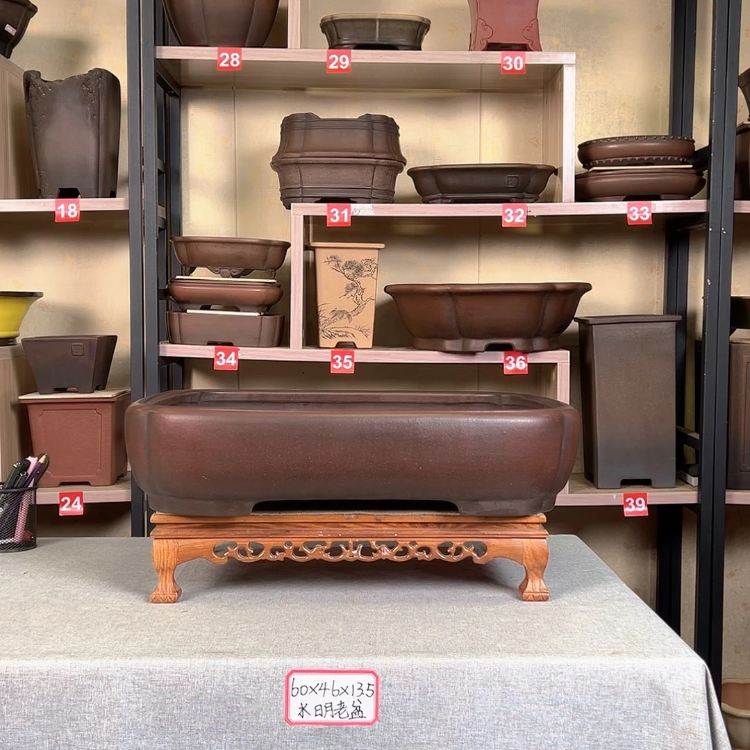 栖***院259399559668889水明老盆