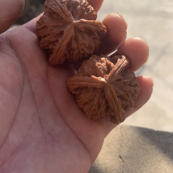 文玩核桃吊坠三棱三棱三棱三棱