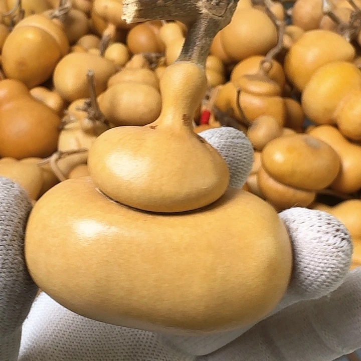 木质非金属521000