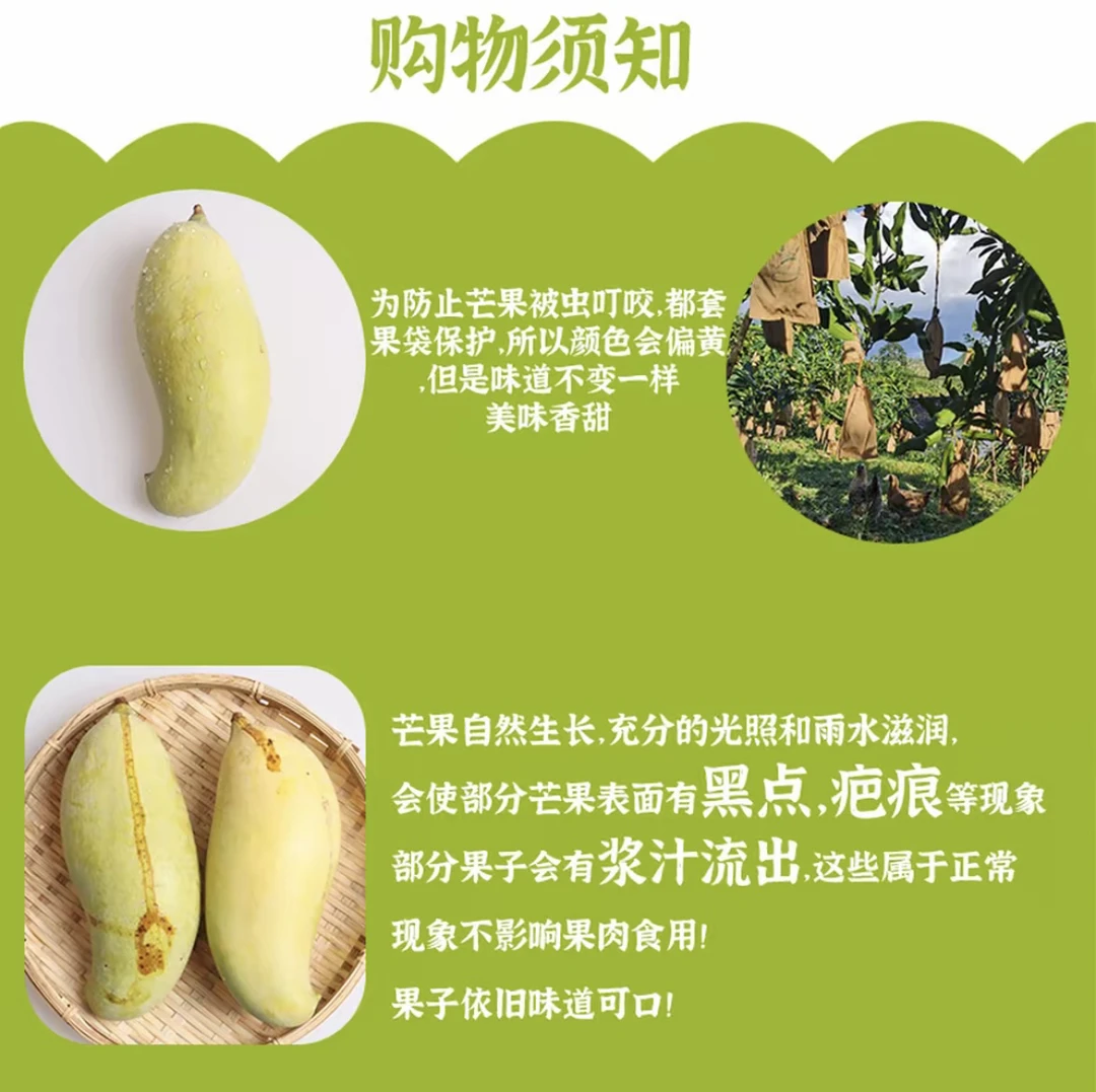 云南景东晚熟芒果新鲜水果软糯香甜现摘现发