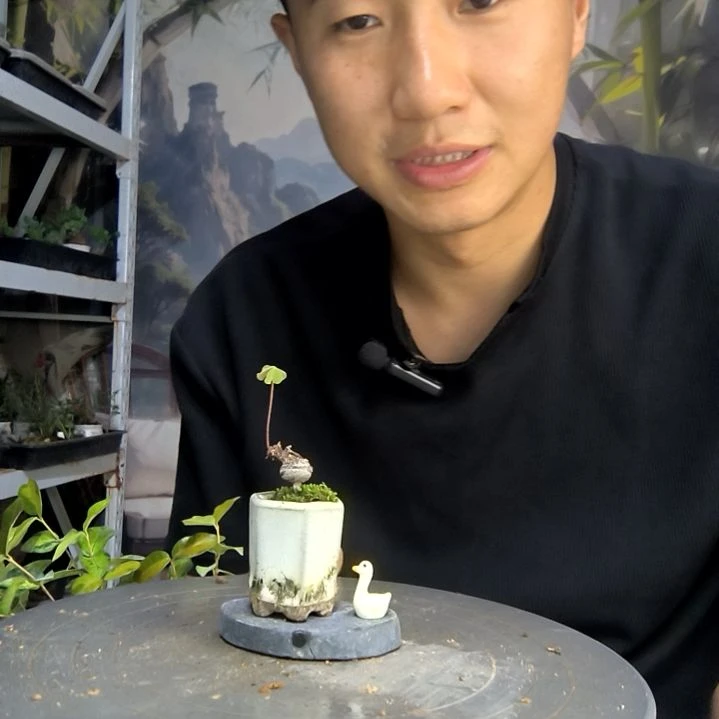 若*?中青园艺一物一拍109