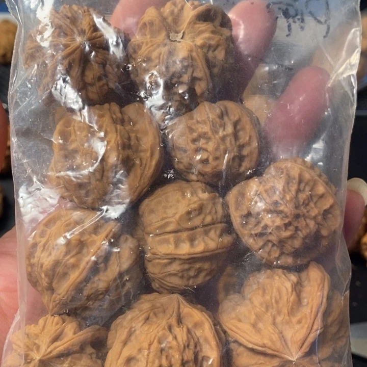 ****）桃核把件468844567