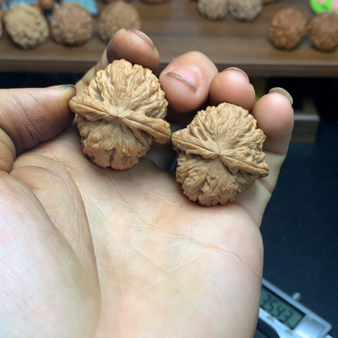 吊坠文玩核桃35白狮子（红皮）