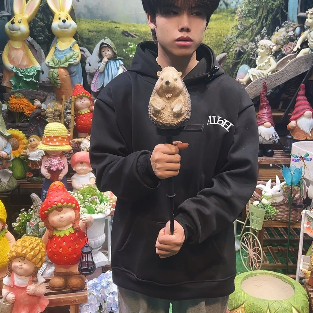 花园摆件红红火火