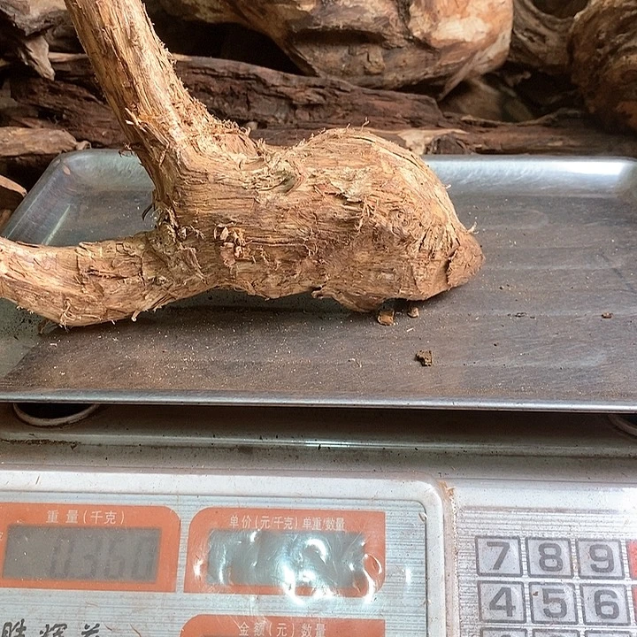 花梨木类沉**金海南黄油梨