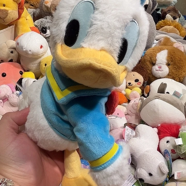 毛绒软软哈哈哈哈