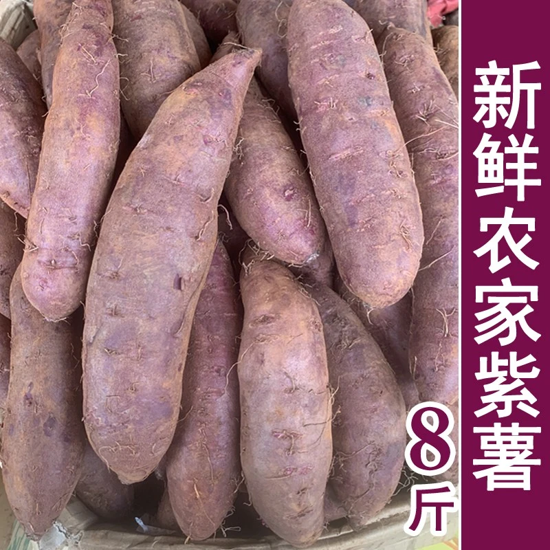 2025年广西当季新鲜紫薯小个粉糯香甜农家自种沙地紫心红薯番薯仔