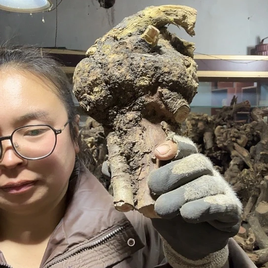 香榧木罗*坊火琉璃的毛料摆件