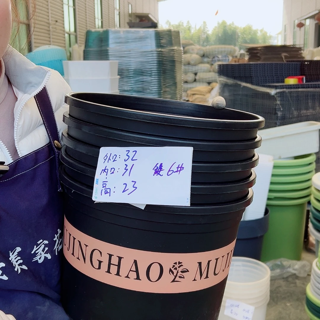 矮胖6#黑色5个无托