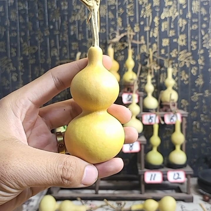 精品八宝葫芦一把j