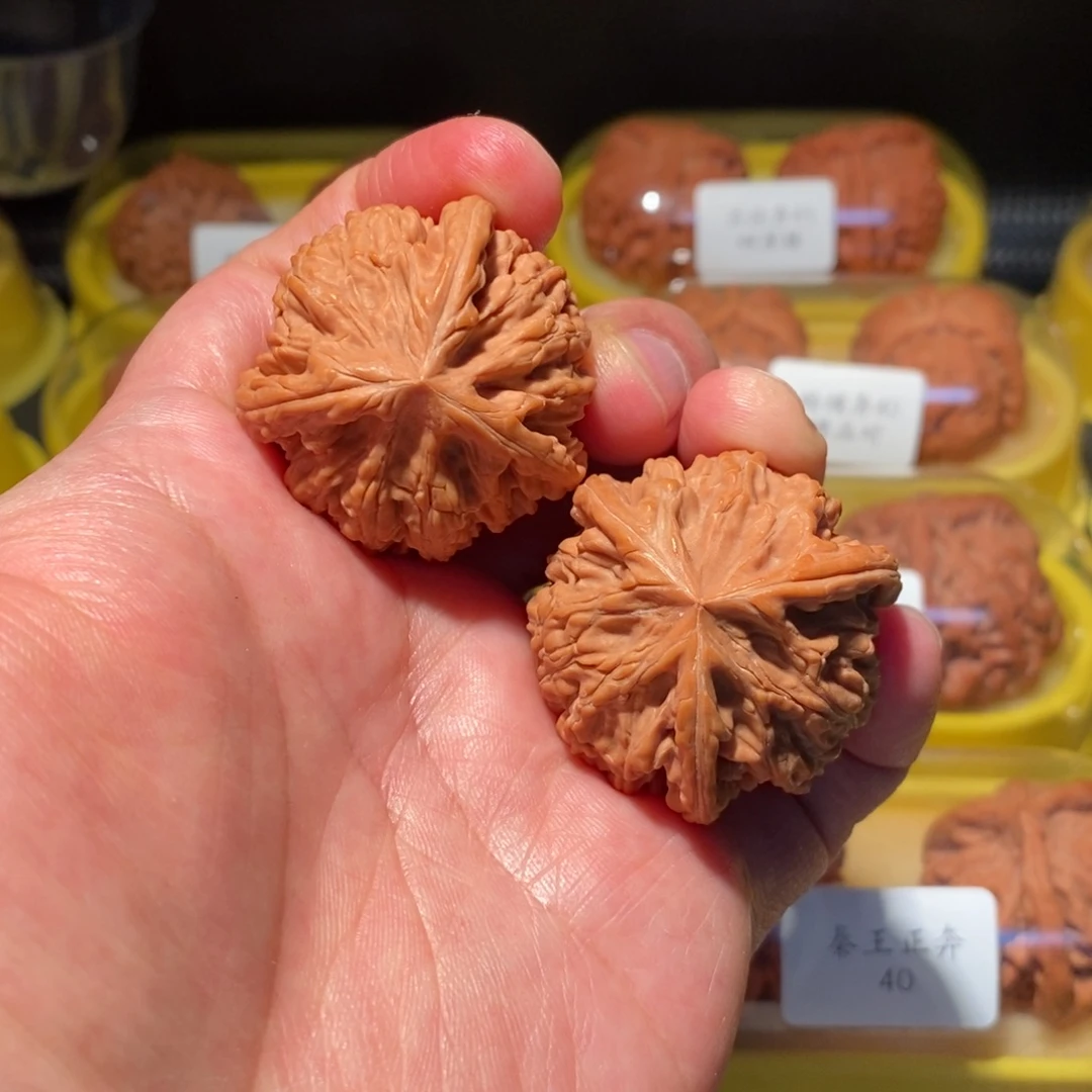 38全品御龙粗筋人奔精品对