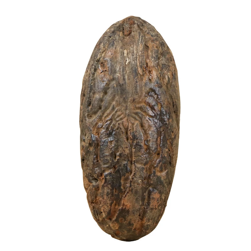 天然精品千眼菩提果老油果真正品实心文玩手工打磨直播卖货直播间